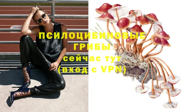2c-b Навашино